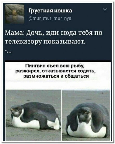 Мем, beauty_foo_ll