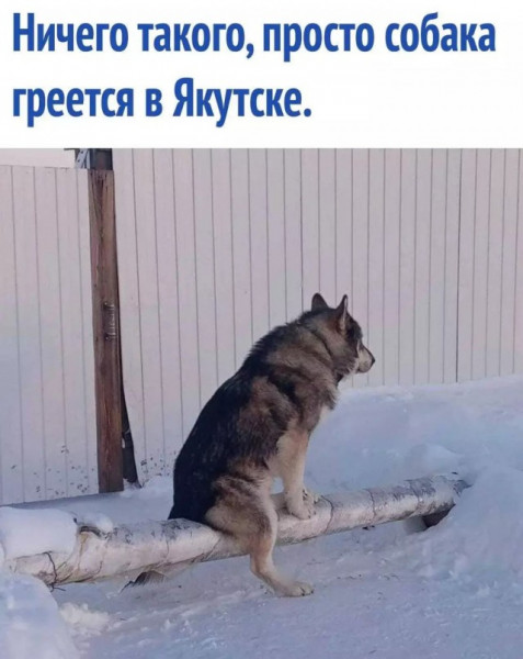Мем